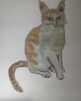 107_el-gato-de-rosi.jpg