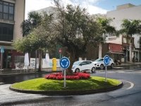 107_el-olivo-de-los-desplazados.jpg