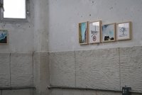 86_img1962p.jpg