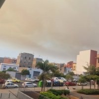 93_animo-tenerife.jpg