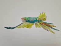 93_anotaciones-sobre-el-demonio5.jpg