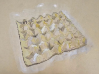 93_carton-de-huevos.png