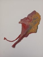 93_hoja-de-flamboyan-canario-caida.jpg