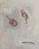93_hoja-de-flamboyan-canario-caida2.jpg