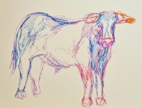 93_la-curacion-del-toro-indultado.jpg