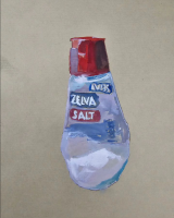 93_sal-zelva.png
