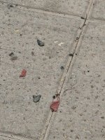 93_trozos-de-cenizas-en-la-cuesta.jpg